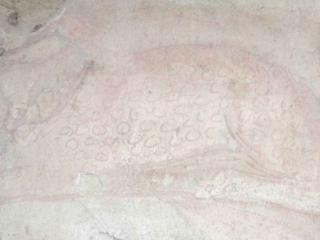 II.2.2 Pompeii.  December 2005.  Room “i”.  Painting of leopard on north wall of upper euripus.