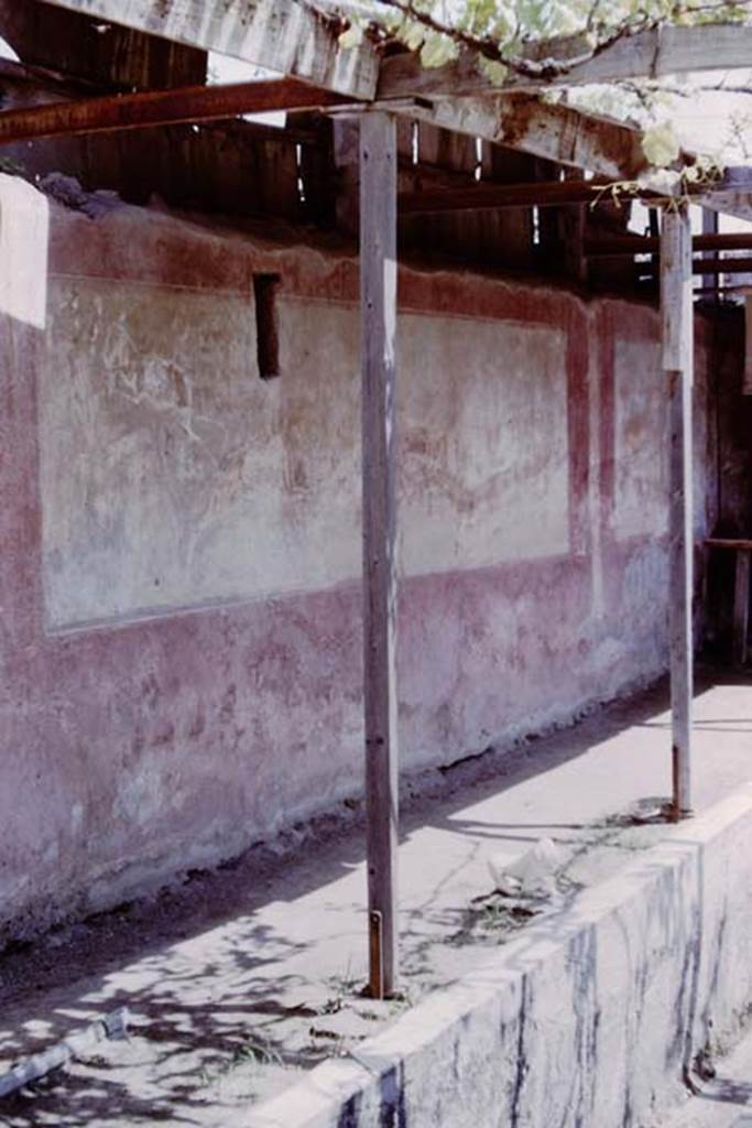 II.2.2 Pompeii. 1964. Room “i”, large hunting scene on north wall of upper euripus.  Photo by Stanley A. Jashemski.
Source: The Wilhelmina and Stanley A. Jashemski archive in the University of Maryland Library, Special Collections (See collection page) and made available under the Creative Commons Attribution-Non Commercial License v.4. See Licence and use details.
J64f1061