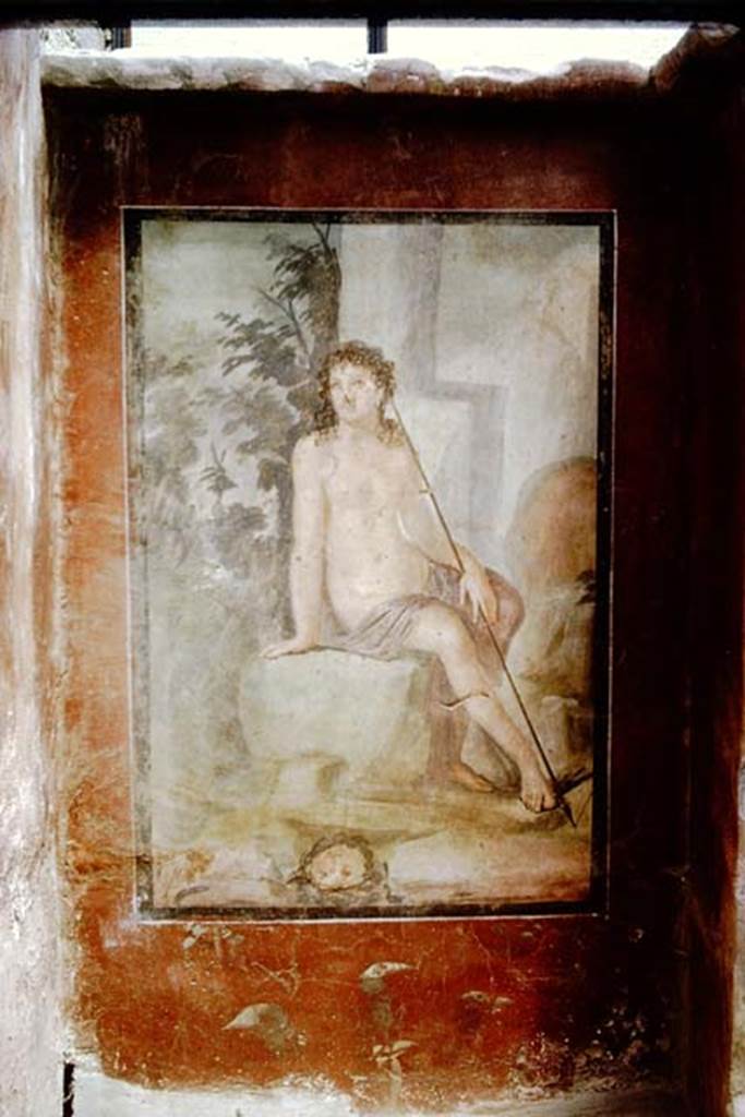 II.2.2 Pompeii.  1966. Room “k”, painting on east wall of summer dining room.  Photo by Stanley A. Jashemski.
Source: The Wilhelmina and Stanley A. Jashemski archive in the University of Maryland Library, Special Collections (See collection page) and made available under the Creative Commons Attribution-Non Commercial License v.4. See Licence and use details.
J66f0263