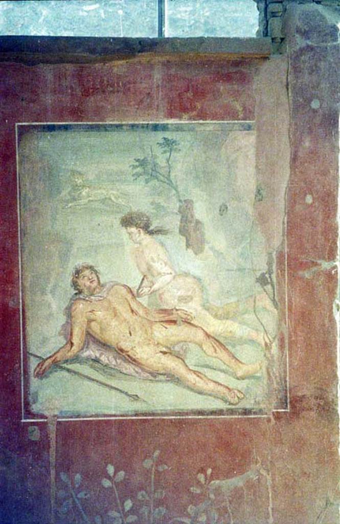 II.2.2 Pompeii. July 2011. Room “k”, painting of the myth of Pyramus and Thisbe. 
Photo courtesy of Rick Bauer.