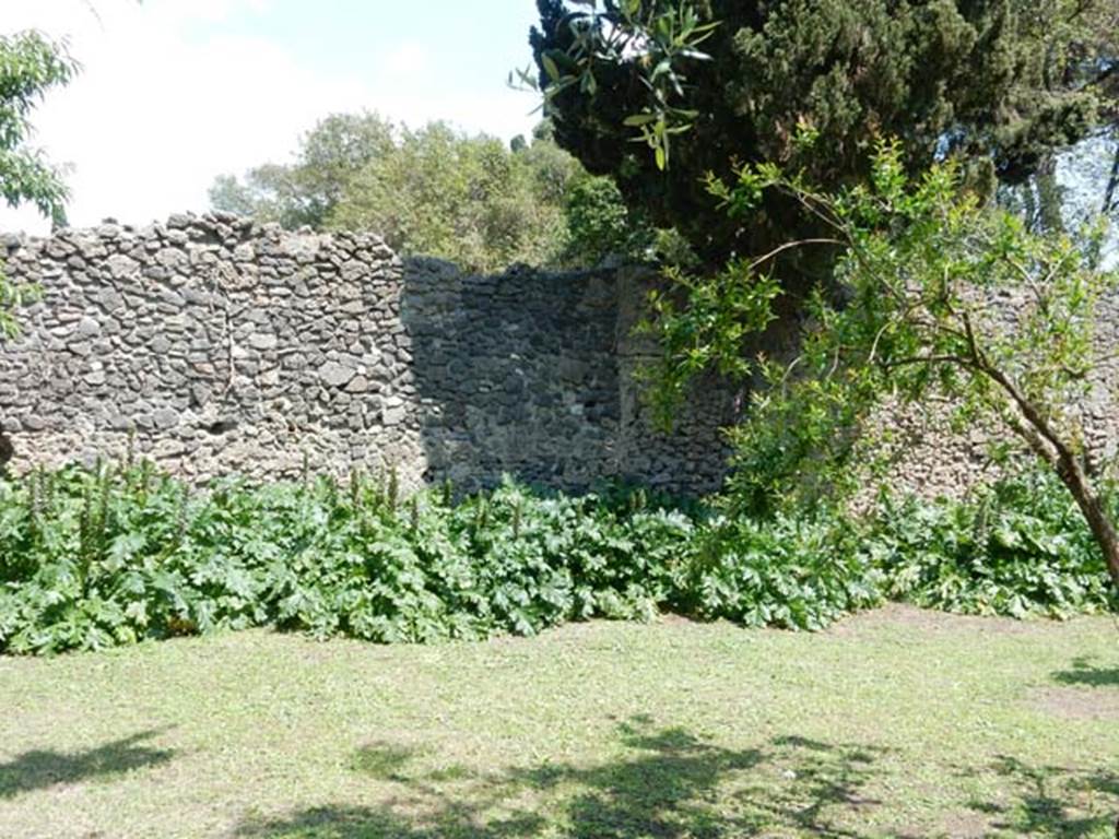 II.2.2 Pompeii. May 2016. Room “l”, garden. East wall of garden.
Photo courtesy of Buzz Ferebee.