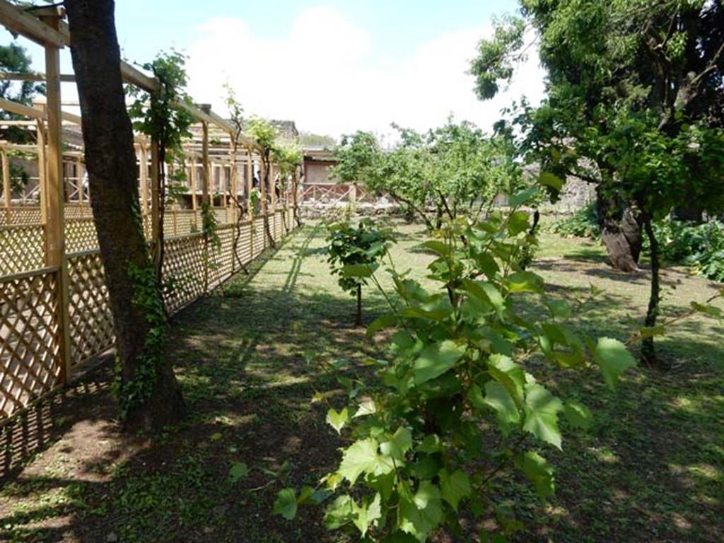 II.2.2 Pompeii. May 2016. Room “l”, garden. Looking north along east side of garden.
Photo courtesy of Buzz Ferebee.