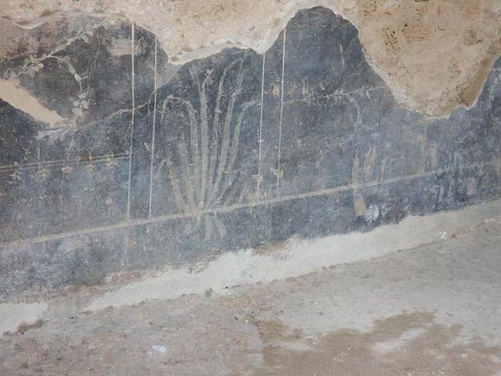 II.2.2 Pompeii. May 2016. Room “c”, detail of painted plant on zoccolo of north wall of triclinium.
Photo courtesy of Buzz Ferebee.