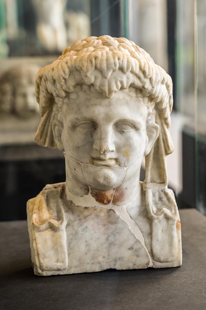 II.2.2 Pompeii. January 2023. 
Room “i”, white marble bust of a man, perhaps a young Dionysus.  
Found on the north side of the upper euripus in the garden. 
On display in exhibition in Palaestra.  Photo courtesy of Johannes Eber.