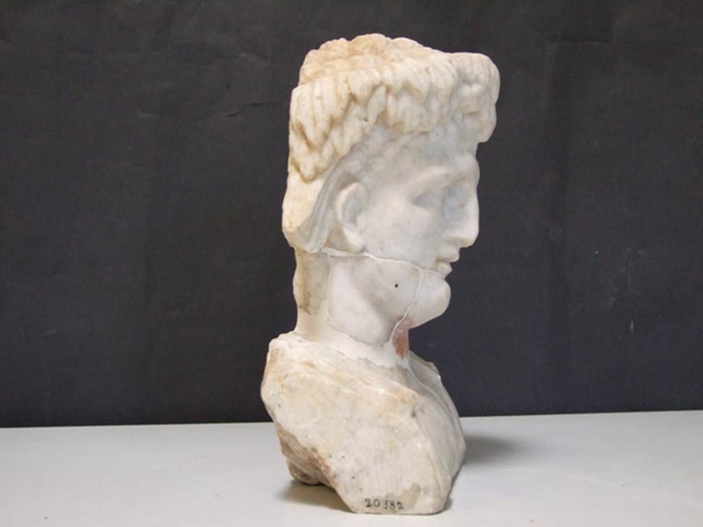 II.2.2 Pompeii.  March 2009. Room “i”. White marble bust of a man, perhaps a young Dionysus.   Found on the north side of the upper euripus in the garden.
SAP inventory number:   20382