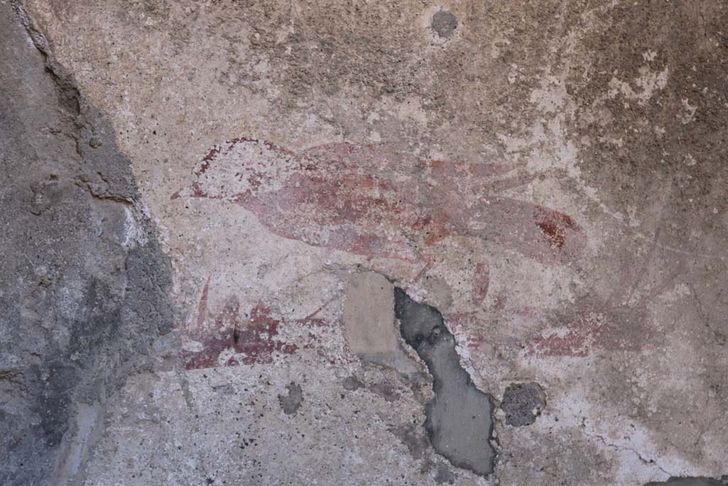 II.2.3 Pompeii. September 2018. 
Painted bird decoration on south wall of bed recess in cubiculum in south-east corner. Photo courtesy of Aude Durand.
