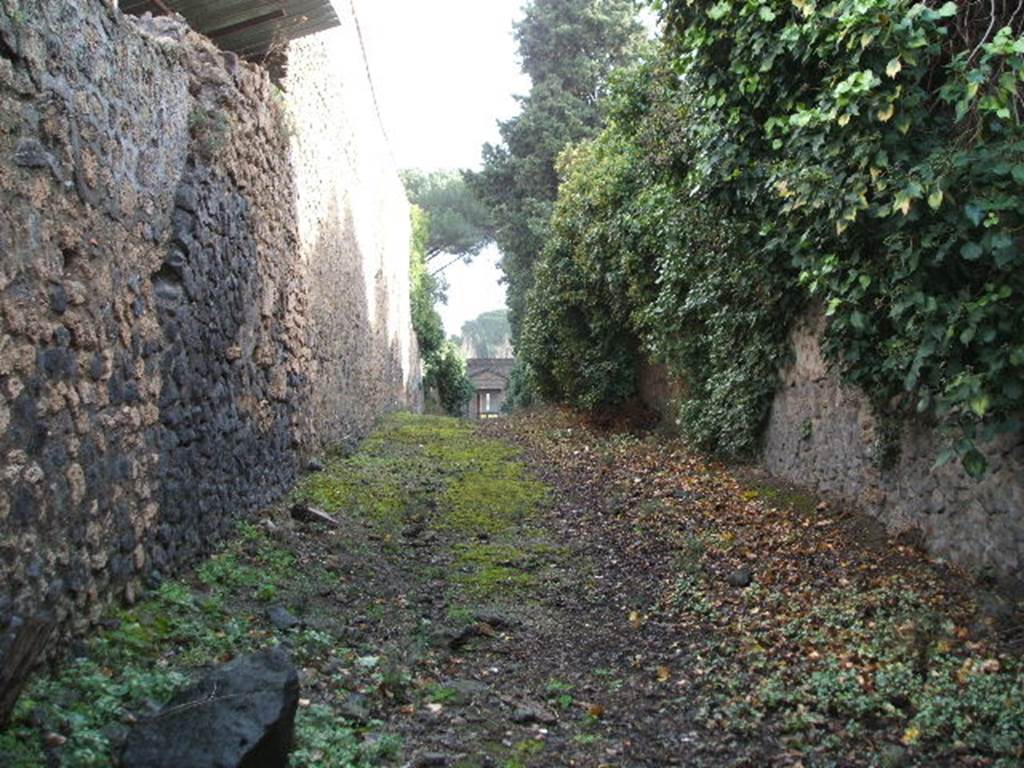 II.3.1      Vicolo della Venere looking south. December 2004.            II.2