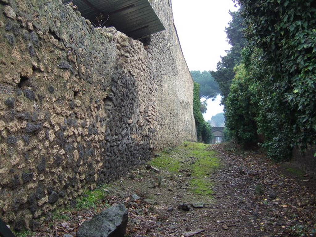 II.3.1        Vicolo della Venere looking south. December 2005.           II.2