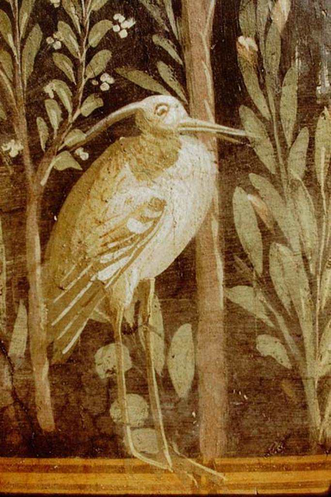 II.3.3 Pompeii. 1971. Detail of bird on east side of Mars. Photo by Stanley A. Jashemski.
Source: The Wilhelmina and Stanley A. Jashemski archive in the University of Maryland Library, Special Collections (See collection page) and made available under the Creative Commons Attribution-Non Commercial License v.4. See Licence and use details.
J71f0138
