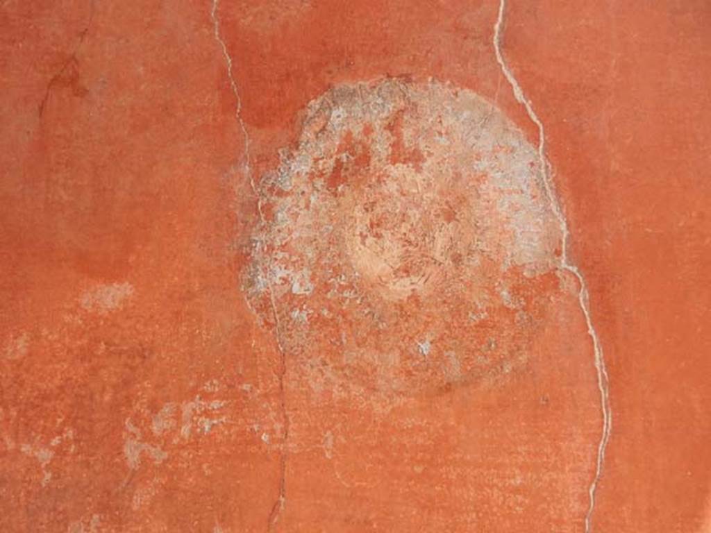 II.3.3 Pompeii. May 2016. Room 1, painted medallion on east wall of entrance corridor or fauces.  Photo courtesy of Buzz Ferebee.