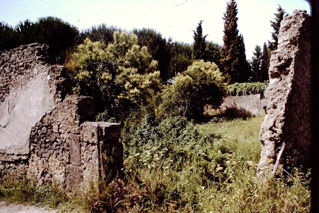 II.3.6 Pompeii. 1964. Garden entrance, looking west. Photo by Stanley A. Jashemski.
Source: The Wilhelmina and Stanley A. Jashemski archive in the University of Maryland Library, Special Collections (See collection page) and made available under the Creative Commons Attribution-Non Commercial License v.4. See Licence and use details.
J64f1124