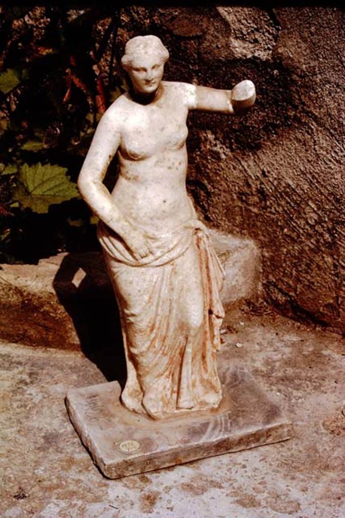 II.3.6 Pompeii, 1972. White marble statue of Venus, still with traces of red colouring.
Found in 1953. SAP inventory number: 9926. Photo by Stanley A. Jashemski. 
Source: The Wilhelmina and Stanley A. Jashemski archive in the University of Maryland Library, Special Collections (See collection page) and made available under the Creative Commons Attribution-Non Commercial License v.4. See Licence and use details.
J72f0234
