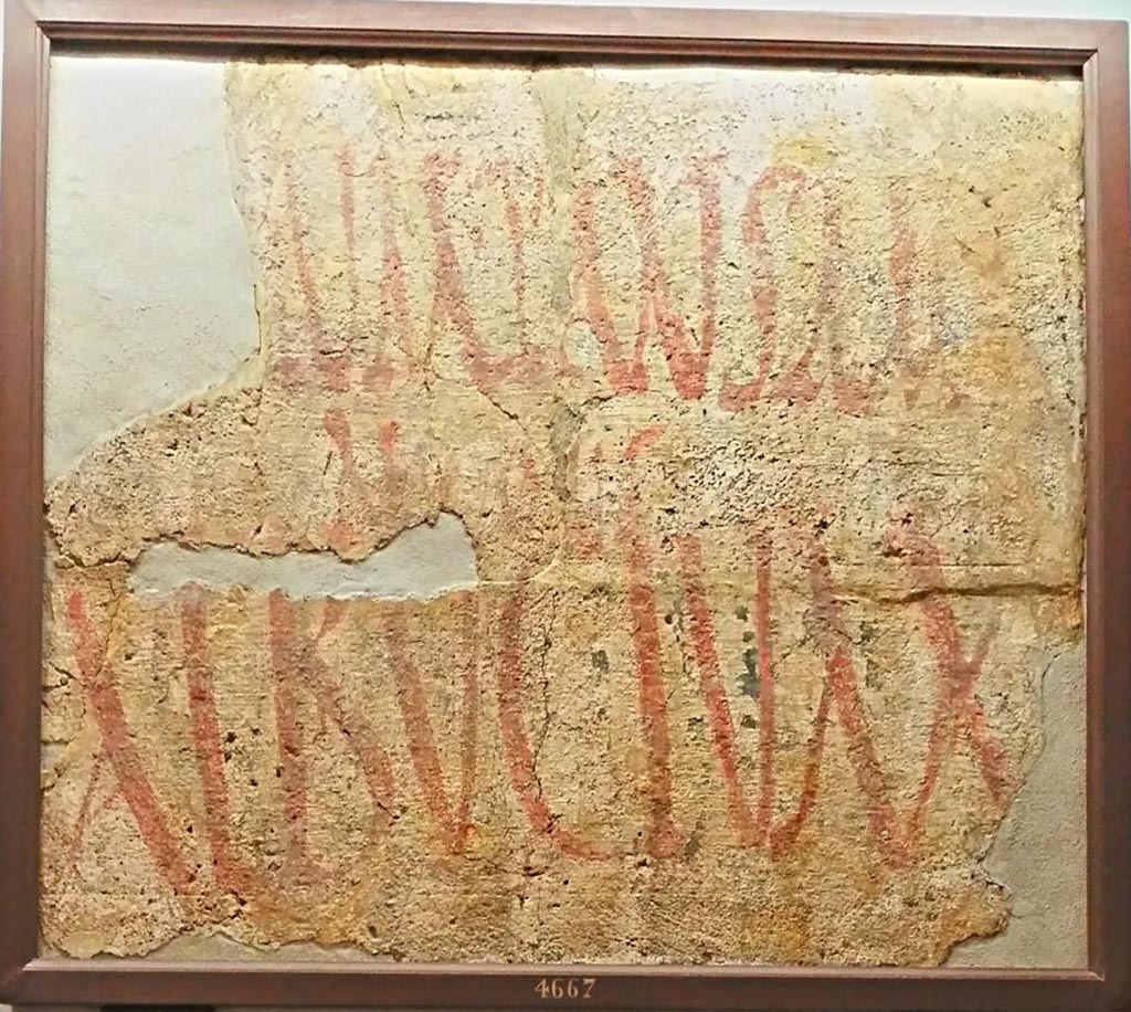 II.4.1 Pompeii. Fragment of red painted plaster, found to the west of entrance doorway.
Top line – “Vote for Cuspius Pansa for aedile.”
Lower line – “Vote for Albucius for aedile.”
Now in Naples Archaeological Museum, inv. 4667. Photo courtesy of Giuseppe Ciaramella, June 2017.