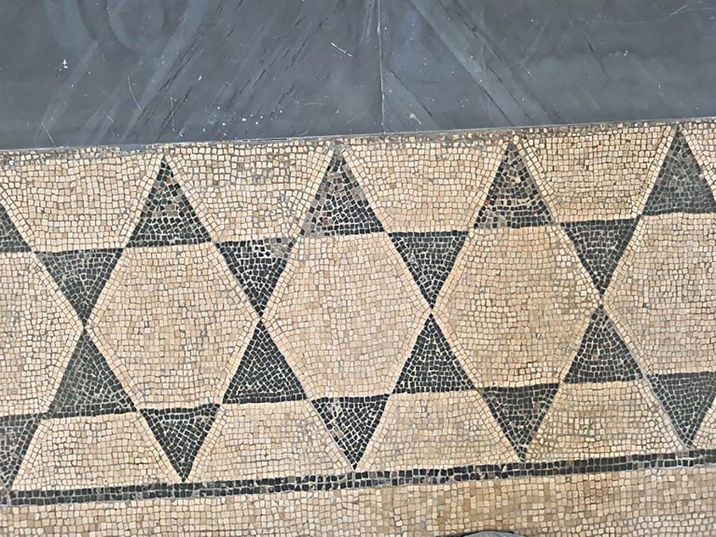 II.4.6 Pompeii. June 2024. 
Black and white mosaic border around edge of mosaic in room CXXXII (132).  Photo courtesy of Giuseppe Ciaramella.
