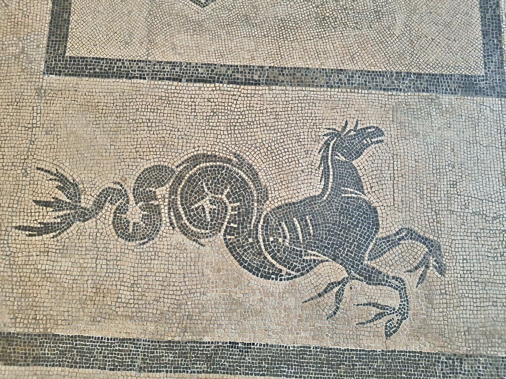 II.4.6 Pompeii. July 2024. 
Detail from mosaic floor in atrium, now in Naples Archaeological Museum. Photo courtesy of Giuseppe Ciaramella.