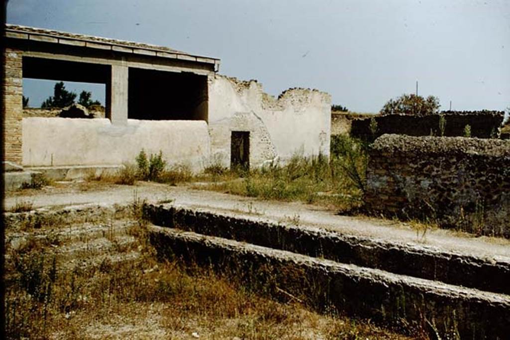 II.4.6 Pompeii. 1959. Looking north-east from the swimming pool.  Photo by Stanley A. Jashemski.
Source: The Wilhelmina and Stanley A. Jashemski archive in the University of Maryland Library, Special Collections (See collection page) and made available under the Creative Commons Attribution-Non Commercial License v.4. See Licence and use details.
J59f0150