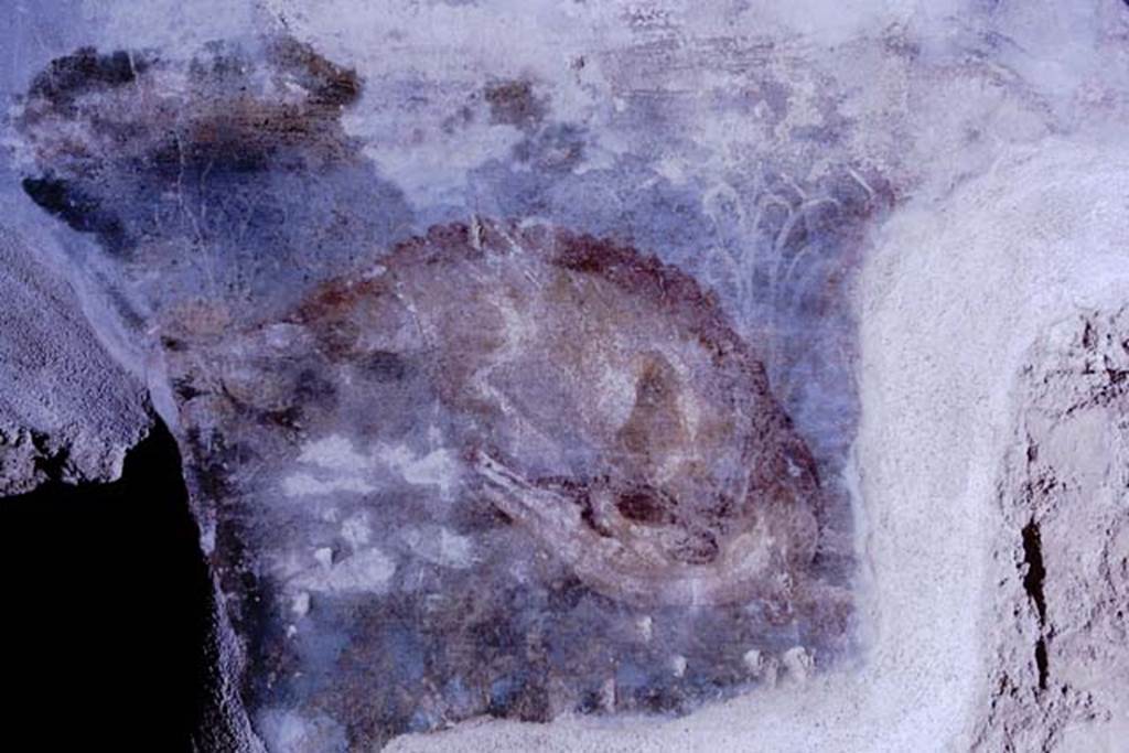 II.4.6 Pompeii, 1968.  Summer triclinium, painted decoration of Nile landscape with crocodile from east end of north wall.  Photo by Stanley A. Jashemski.
Source: The Wilhelmina and Stanley A. Jashemski archive in the University of Maryland Library, Special Collections (See collection page) and made available under the Creative Commons Attribution-Non Commercial License v.4. See Licence and use details.
J68f0703