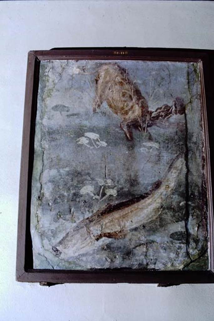 II.4.6 Pompeii. 1968. Fragment now in Naples Museum showing a hippopotamus and a large fish. Photo by Stanley A. Jashemski.
Source: The Wilhelmina and Stanley A. Jashemski archive in the University of Maryland Library, Special Collections (See collection page) and made available under the Creative Commons Attribution-Non Commercial License v.4. See Licence and use details. J68f0782
Now in Naples Archaeological Museum.  Inventory number 8608.