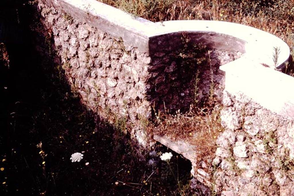 II.4.6 Pompeii. 1977. Detail from water feature. Photo by Stanley A. Jashemski.   
Source: The Wilhelmina and Stanley A. Jashemski archive in the University of Maryland Library, Special Collections (See collection page) and made available under the Creative Commons Attribution-Non Commercial License v.4. See Licence and use details. J77f0441