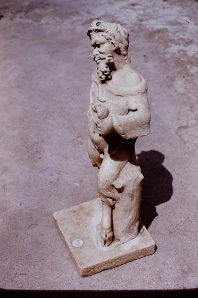 II.4.6 Pompeii, 1972. Statuette of marble satyr found at the north end of the pool.
Photo by Stanley A. Jashemski. 
Source: The Wilhelmina and Stanley A. Jashemski archive in the University of Maryland Library, Special Collections (See collection page) and made available under the Creative Commons Attribution-Non Commercial License v.4. See Licence and use details.
J72f0313