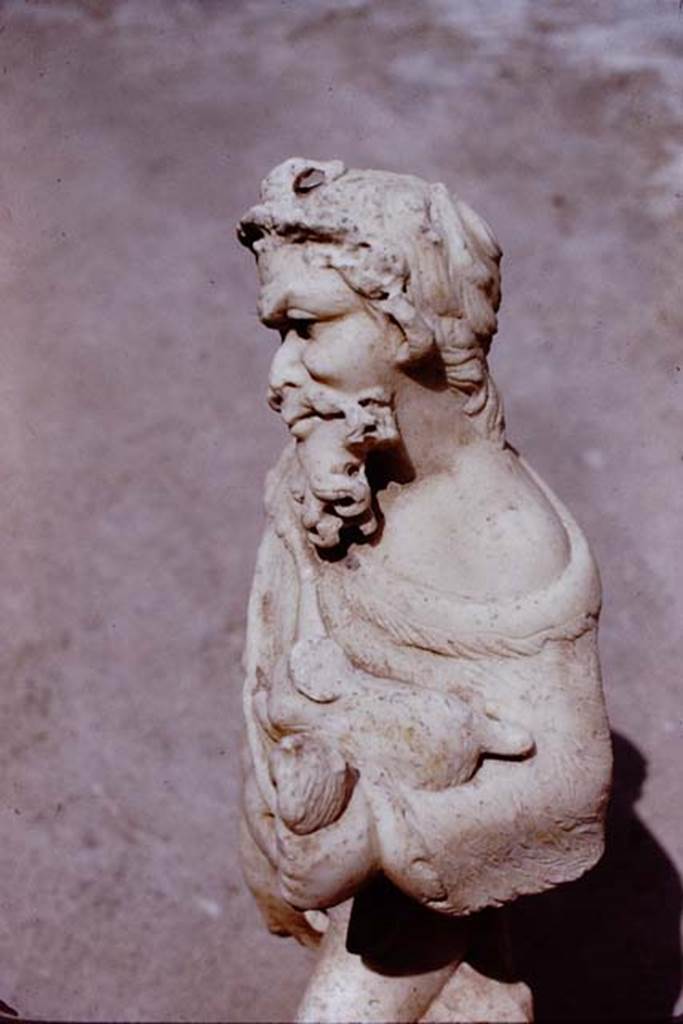 II.4.6 Pompeii, 1972. Detail of statuette of marble satyr found at the north end of the pool.
Photo by Stanley A. Jashemski. 
Source: The Wilhelmina and Stanley A. Jashemski archive in the University of Maryland Library, Special Collections (See collection page) and made available under the Creative Commons Attribution-Non Commercial License v.4. See Licence and use details.
J72f0314
