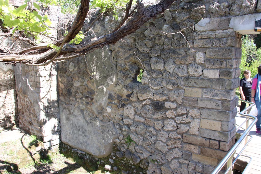 II.4.6 Pompeii. May 2024. 
South wall in south-east corner of garden. In this area, the doorway into the Sacrarium was found. Photo courtesy of Klaus Heese.
According to Parslow –
“They then reversed direction, turning towards the south end of the viridarium where they came across a small barrel-vaulted sacrarium painted with Egyptian and Roman deities (no. 55 on plan) (see note 8 & note 9). Because of the curious nature of these paintings, Paderni ordered the sacrarium removed whole, and this was accomplished by chiselling it from its foundations and from the enclosure walls of the viridarium. On the floor inside the sacrarium stood one of the great treasures of this site: a bronze tripod……..”
(Note 9 - The sacrarium was re-erected in the museum at Portici and eventually transferred to the Naples Archaeological Museum; it disappeared sometime after 1885, except for the lower portion showing the sacred snakes (MN 9693).
See Parslow, C.C. (1998). Rediscovering Antiquity: Karl Weber and the Excavation of Herculaneum, Pompeii and Stabiae. UK, Cambridge UP (p.110, & p.345, notes 8 & 9)