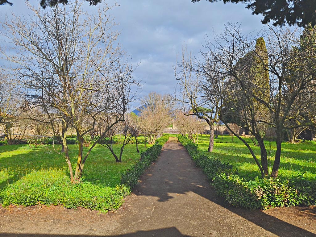 II.4.9 Pompeii. March 2024. Looking north across garden area from entrance gate. Photo courtesy of Giuseppe Ciaramella.