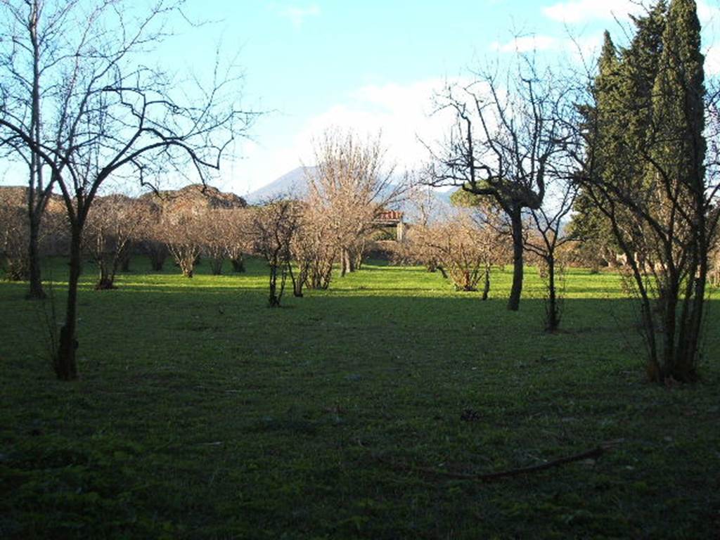 II.4.9 Pompeii. December 2005. Looking north across garden.