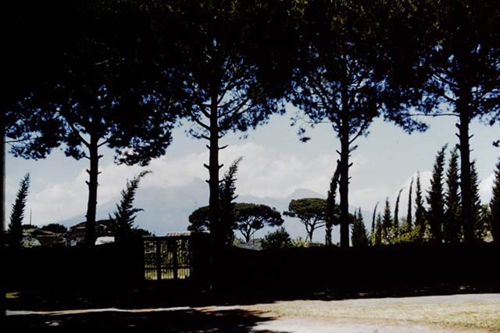 II.4.9 Pompeii. 1961. Looking north towards garden gate and Vesuvius. Photo by Stanley A. Jashemski.
Source: The Wilhelmina and Stanley A. Jashemski archive in the University of Maryland Library, Special Collections (See collection page) and made available under the Creative Commons Attribution-Non Commercial License v.4. See Licence and use details.
J61f0291