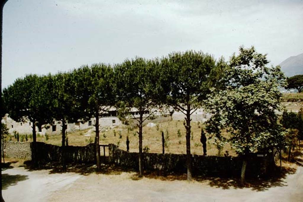 II.4.9  Pompeii. 1957. Looking north towards doorway at II.4.9, and garden area. Photo by Stanley A. Jashemski.
Source: The Wilhelmina and Stanley A. Jashemski archive in the University of Maryland Library, Special Collections (See collection page) and made available under the Creative Commons Attribution-Non Commercial License v.4. See Licence and use details.
J57f0107