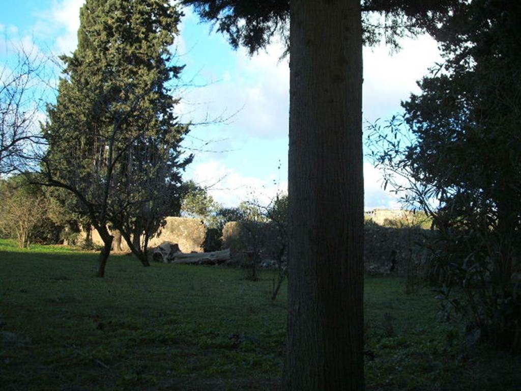 II.4.9 Pompeii. December 2005. East side of garden.