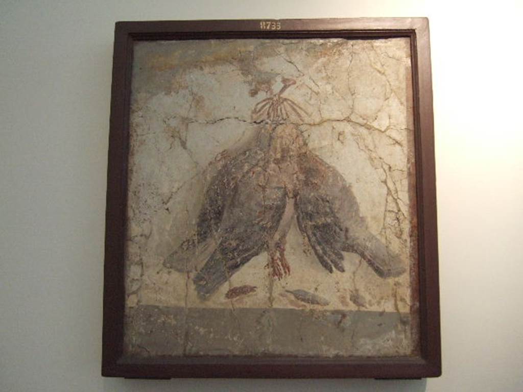 II.4.10 Pompeii. Found June/July 1755.  Wall painting of three dead partridges bound and hung from a nail.  Found in area 95, south-west corner of atrium. Now in Naples Archaeological Museum.  Inventory number 8733. See Pagano, M. and Prisciandaro, R., 2006. Studio sulle provenienze degli oggetti rinvenuti negli scavi borbonici del regno di Napoli.  Naples : Nicola Longobardi.  (p.18, item 13 and note 66).