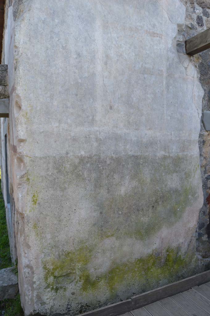 II.4.10 Pompeii. March 2019. 
East end of exterior south wall in peristyle/garden area, with remaining painted stucco. 
Foto Taylor Lauritsen, ERC Grant 681269 DÉCOR.