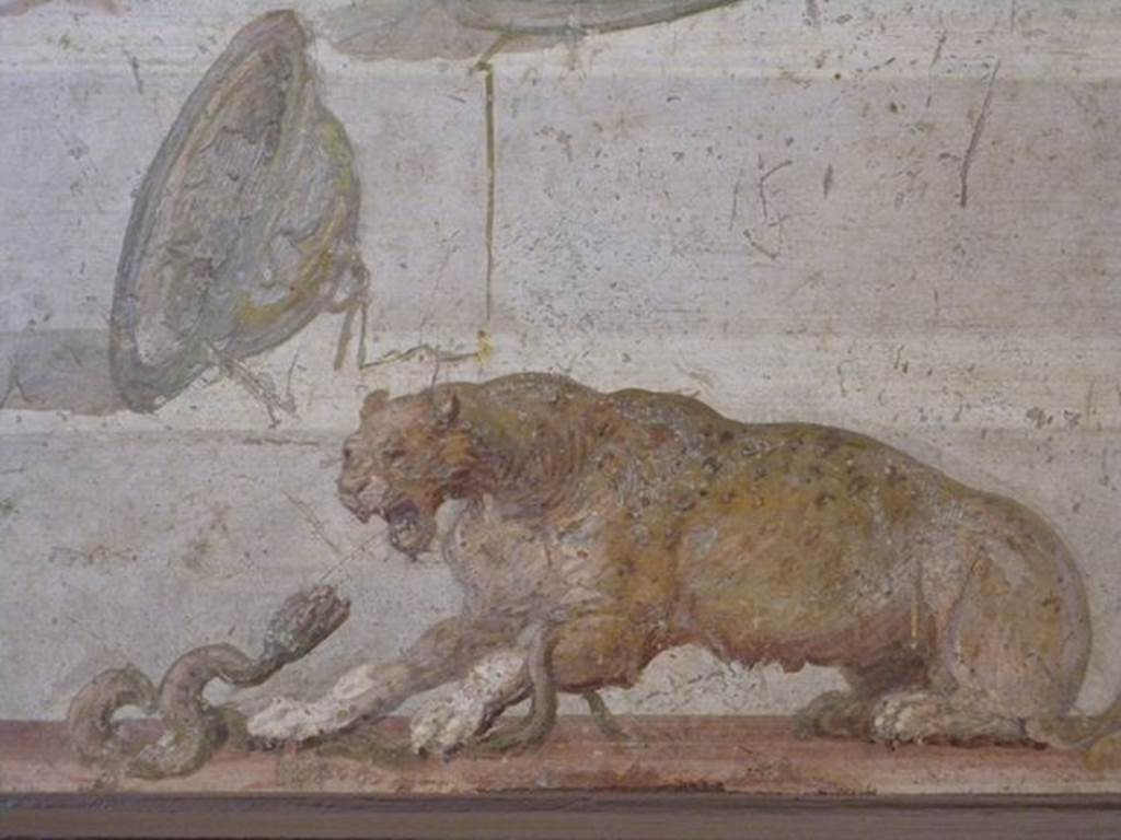 II.4.10 Pompeii.  Wall painting with symbols of Dionysus.  Detail of panther attacking snake.  Now in Naples Archaeological Museum.  Inventory number 8795.