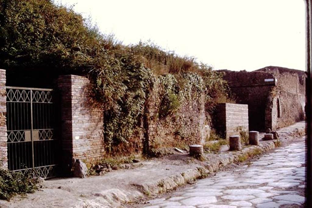 II.5.3 Pompeii, on left. 1972. Entrances on Via dell’Abbondanza, II.5.2, centre and II.5.1, towards right.  Photo by Stanley A. Jashemski. 
Source: The Wilhelmina and Stanley A. Jashemski archive in the University of Maryland Library, Special Collections (See collection page) and made available under the Creative Commons Attribution-Non Commercial License v.4. See Licence and use details. J72f0079