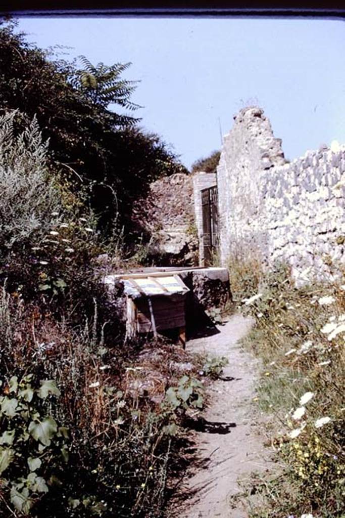 II.5.3 Pompeii. 1972. Looking west towards interior of entrance doorway. Photo by Stanley A. Jashemski. 
Source: The Wilhelmina and Stanley A. Jashemski archive in the University of Maryland Library, Special Collections (See collection page) and made available under the Creative Commons Attribution-Non Commercial License v.4. See Licence and use details. J72f0552