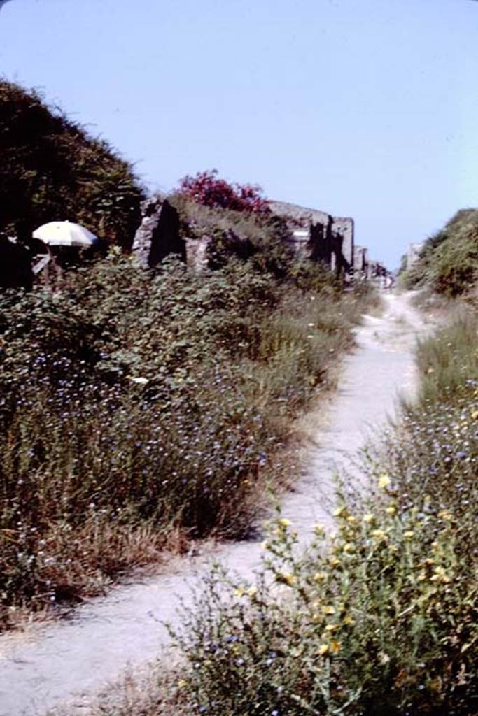 II.5.3 Pompeii, on left. 1966. Looking west along Via dell’Abbondanza from near II.5.  
Photo by Stanley A. Jashemski.
Source: The Wilhelmina and Stanley A. Jashemski archive in the University of Maryland Library, Special Collections (See collection page) and made available under the Creative Commons Attribution-Non Commercial License v.4. See Licence and use details.
J66f0459