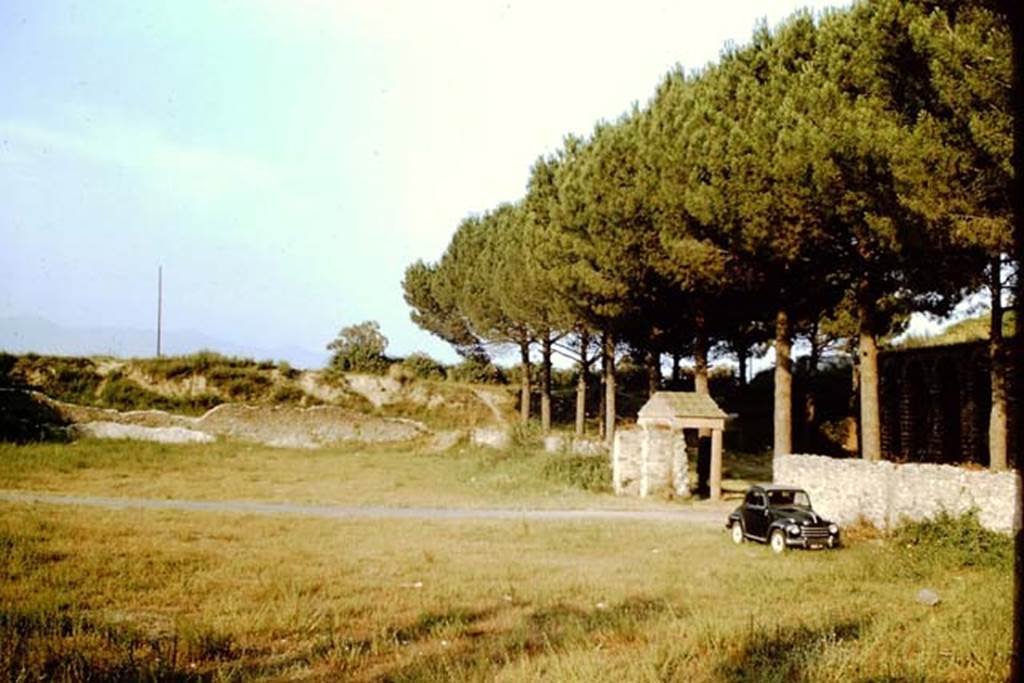 II.5 Pompeii. 1966. Looking east across site. Photo by Stanley A. Jashemski.
Source: The Wilhelmina and Stanley A. Jashemski archive in the University of Maryland Library, Special Collections (See collection page) and made available under the Creative Commons Attribution-Non Commercial License v.4. See Licence and use details.
J66f0266
The insula was cleared of lapilli from December 1954 to May 1955, except for the area of a modern house in the north-east corner, and the area of the north-west corner where there appeared to be an ancient building, as well as the chamber for access to the Sarno canal. 
The 1955 excavators had removed the volcanic material down to the original level, and then covered the area with backfill.
See Jashemski W. F., 2014. Discovering the Gardens of Pompeii: The Memoirs of a Garden Archaeologist 1955 – 2004, p. 132-3.