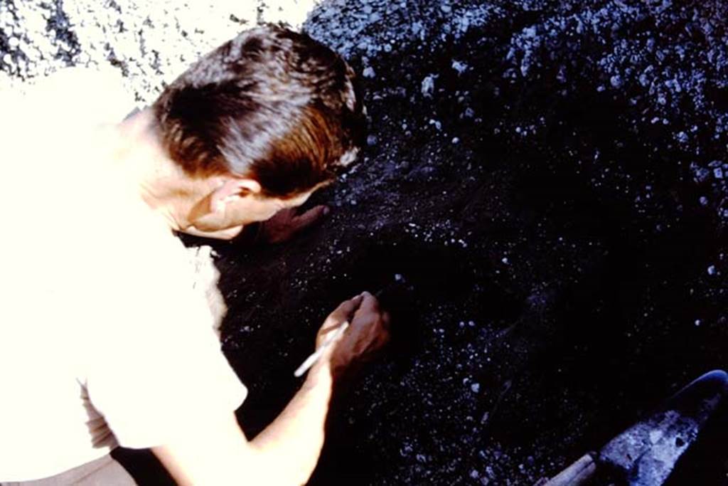 II.5 Pompeii. 1966. After digging down more than 4 feet to the original AD79 level, a cavity left by the decay of a large root was discovered.  Photo by Stanley A. Jashemski.
Source: The Wilhelmina and Stanley A. Jashemski archive in the University of Maryland Library, Special Collections (See collection page) and made available under the Creative Commons Attribution-Non Commercial License v.4. See Licence and use details.
J66f0160