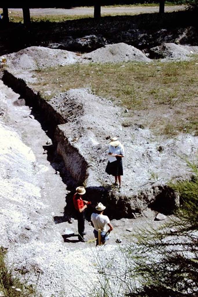 II.5 Pompeii. 1966. Looking south at the excavations near east wall in south-east corner. 
Photo by Stanley A. Jashemski.
Source: The Wilhelmina and Stanley A. Jashemski archive in the University of Maryland Library, Special Collections (See collection page) and made available under the Creative Commons Attribution-Non Commercial License v.4. See Licence and use details.
J66f1106