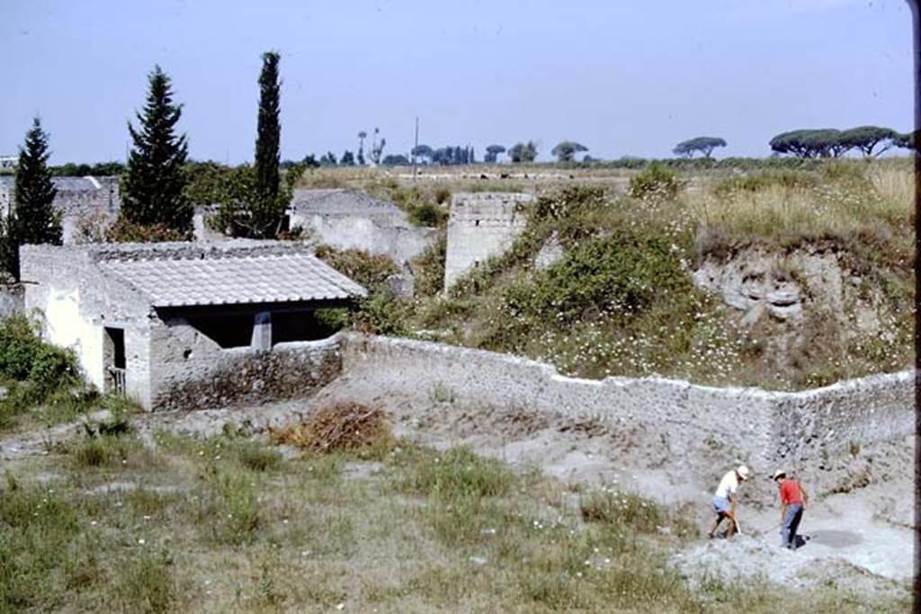 II.5 Pompeii. 1966. 
North-west corner, looking west along south wall of unexcavated structure, where another row of small cavities were found. 
Photo by Stanley A. Jashemski.
Source: The Wilhelmina and Stanley A. Jashemski archive in the University of Maryland Library, Special Collections (See collection page) and made available under the Creative Commons Attribution-Non Commercial License v.4. See Licence and use details.
J66f1120