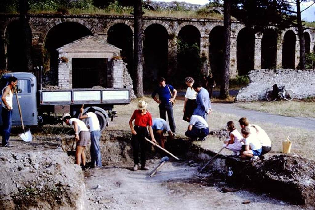 II.5 Pompeii. 1966. Looking south. Photo by Stanley A. Jashemski.
Source: The Wilhelmina and Stanley A. Jashemski archive in the University of Maryland Library, Special Collections (See collection page) and made available under the Creative Commons Attribution-Non Commercial License v.4. See Licence and use details.
J66f0777