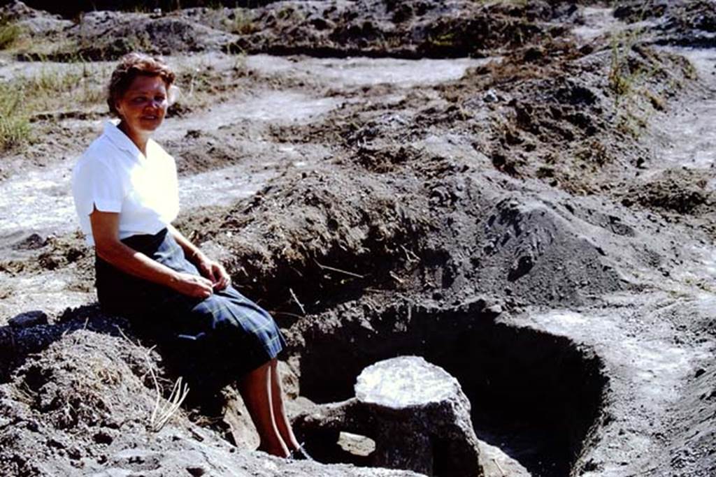 II.5 Pompeii. 1966. Wilhelmina in “her vineyard – not the cattle market”.  Photo by Stanley A. Jashemski.
Source: The Wilhelmina and Stanley A. Jashemski archive in the University of Maryland Library, Special Collections (See collection page) and made available under the Creative Commons Attribution-Non Commercial License v.4. See Licence and use details.
J66f1130
