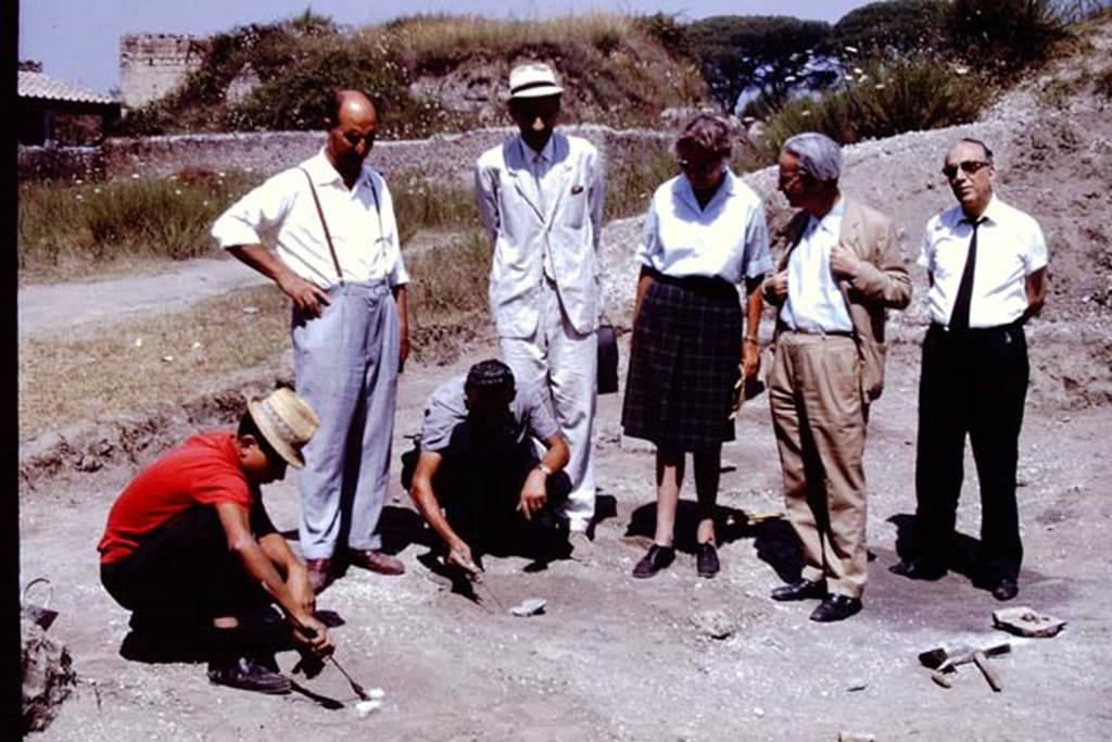 II.5 Pompeii. 1966. Distinguished visitors view the site, amongst others – Dott. Carlo Giordano and Prof. de Franciscis. Wilhelmina was delighted when Prof. de Franciscis, who had encouraged her to work in the Foro Boario, came to visit the excavations. He was very enthusiastic and said that the site should be excavated completely, and the fill removed. 
He hoped to raise the money so that the vineyard could be replanted as it had been in antiquity. Photo by Stanley A. Jashemski.
Source: The Wilhelmina and Stanley A. Jashemski archive in the University of Maryland Library, Special Collections (See collection page) and made available under the Creative Commons Attribution-Non Commercial License v.4. See Licence and use details.
J66f0961