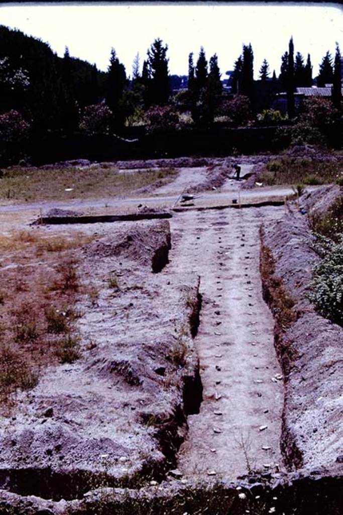 II.5 Pompeii. 1966. Looking west along lines of vine root cavities, all aproximately 4 Roman feet apart.  Photo by Stanley A. Jashemski.
Source: The Wilhelmina and Stanley A. Jashemski archive in the University of Maryland Library, Special Collections (See collection page) and made available under the Creative Commons Attribution-Non Commercial License v.4. See Licence and use details.
J66f1090