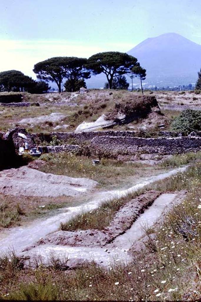 II.5 Pompeii. 1966. Looking north across top of insula and across the Via dell’Abbondanza into III.7.  Photo by Stanley A. Jashemski.
Source: The Wilhelmina and Stanley A. Jashemski archive in the University of Maryland Library, Special Collections (See collection page) and made available under the Creative Commons Attribution-Non Commercial License v.4. See Licence and use details.
J66f1092