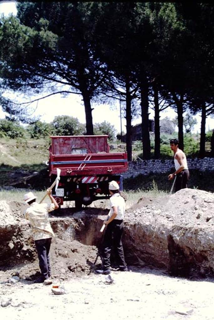 II.5 Pompeii, 1968.  Working their way through the soil and lapilli. Photo by Stanley A. Jashemski.
Source: The Wilhelmina and Stanley A. Jashemski archive in the University of Maryland Library, Special Collections (See collection page) and made available under the Creative Commons Attribution-Non Commercial License v.4. See Licence and use details.
J68f0191