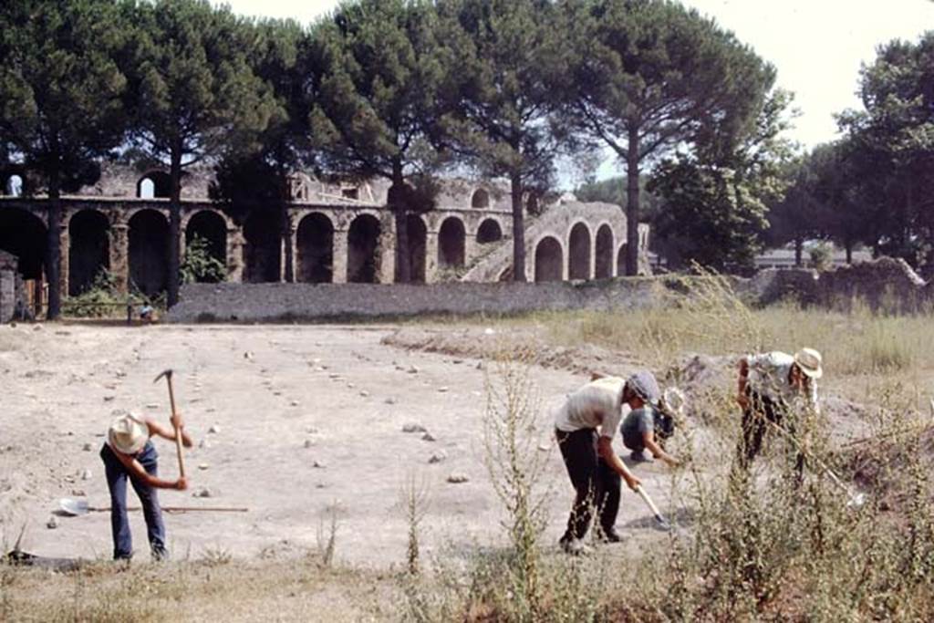 II.5 Pompeii, 1968. Looking south.  Photo by Stanley A. Jashemski.
Source: The Wilhelmina and Stanley A. Jashemski archive in the University of Maryland Library, Special Collections (See collection page) and made available under the Creative Commons Attribution-Non Commercial License v.4. See Licence and use details.
J68f0632