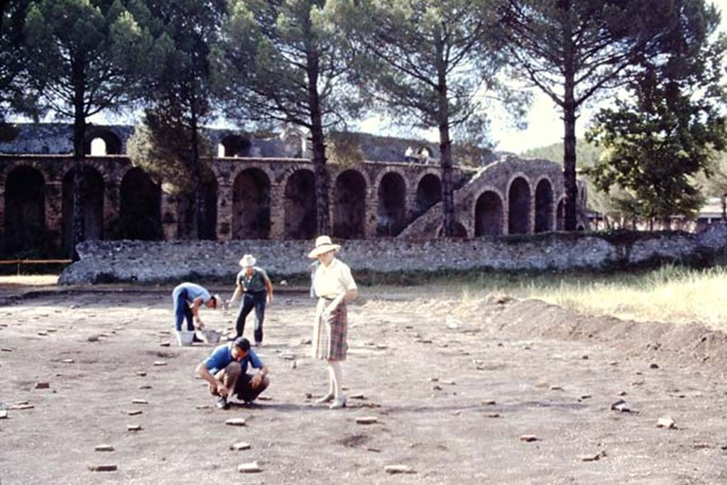II.5 Pompeii, 1968.  “I keep miscounting these root-cavities, the numbers just seem to keep growing”. Photo by Stanley A. Jashemski.
Source: The Wilhelmina and Stanley A. Jashemski archive in the University of Maryland Library, Special Collections (See collection page) and made available under the Creative Commons Attribution-Non Commercial License v.4. See Licence and use details.
J68f0844