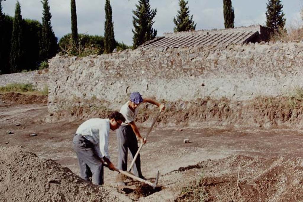 II.5 Pompeii, 1968.  Looking south-west at northern end. Photo by Stanley A. Jashemski.
Source: The Wilhelmina and Stanley A. Jashemski archive in the University of Maryland Library, Special Collections (See collection page) and made available under the Creative Commons Attribution-Non Commercial License v.4. See Licence and use details.
J68f0848